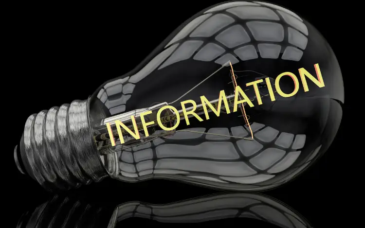 What Information Does Trustly Need