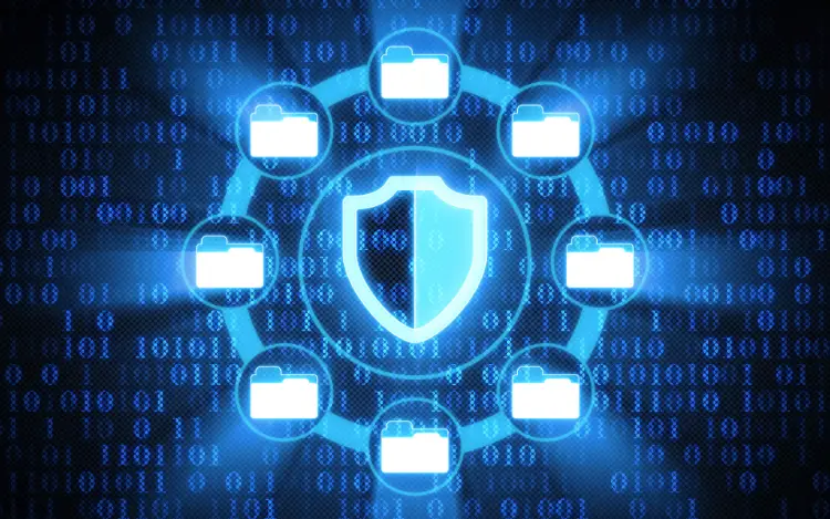 What Information Moves Between the Systems