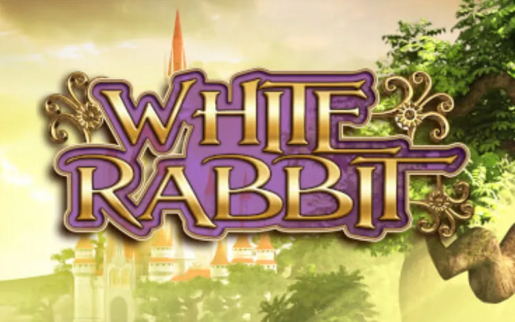 White Rabbit
