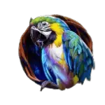 Wild Silverback - Parrot Symbol