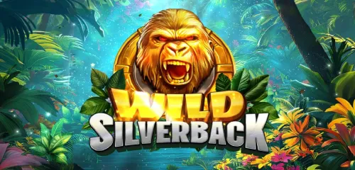 Wild Silverback