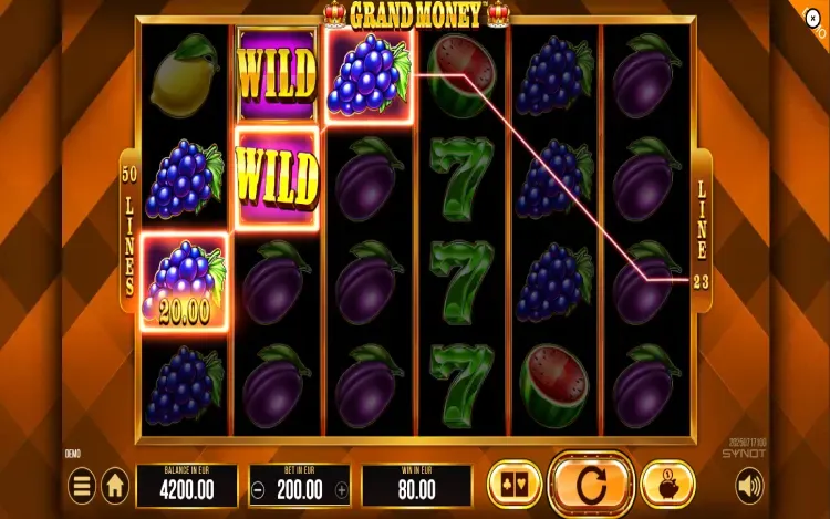 Grand Money - Wild Symbol Feature