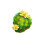 Wild Toro 3 - Cactus Symbol
