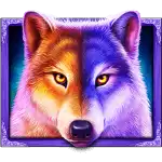 Wolf Gold 4 Pack - Wolf Symbol