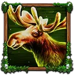 Wolf Fang - Spring Awakening - Moose Symbol