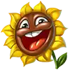 Flowers - Sun Flower Symbol