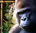 Amazon_Queen-symbol_gorilla.png