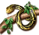 Amazon_Queen-symbol_snake.png