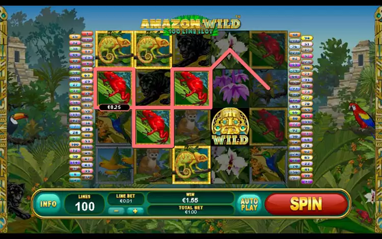Amazon Wild slot - Game Graphics