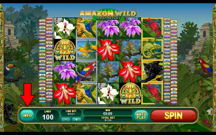 Amazon Wild slot - Step 1