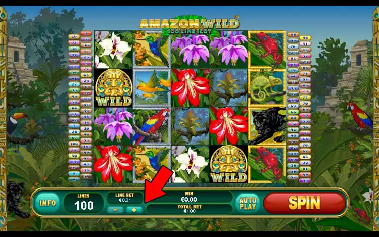 Amazon Wild slot - Step 2