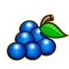Big Bonus - Grapes Symbol