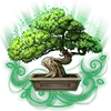 Hong Kong Tower - Bonsai Symbol