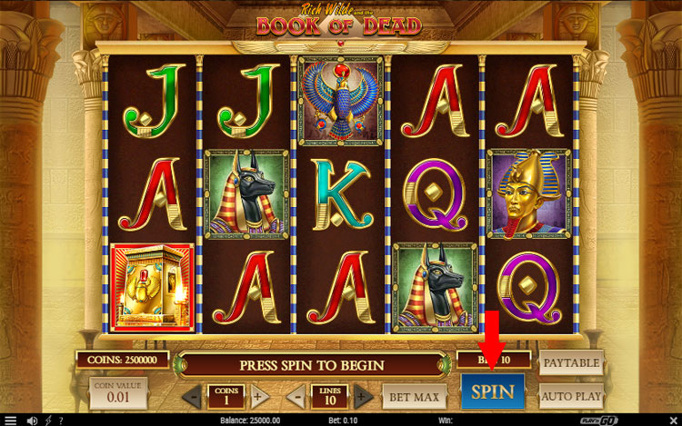 Book of Dead Slot Step 3