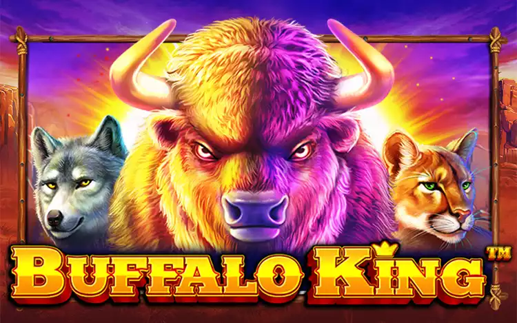 Buffalo King - Introduction