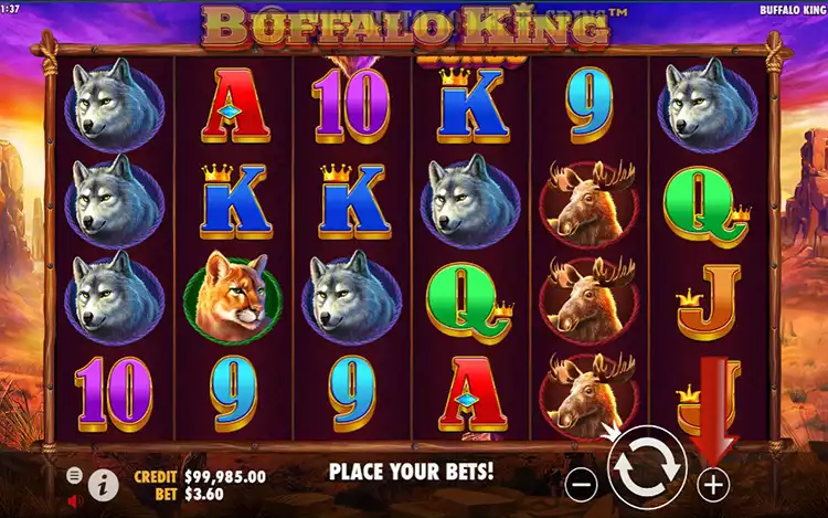 Buffalo King - Step Bet