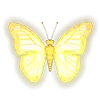 Butterfly Staxx - Butterfly Symbol