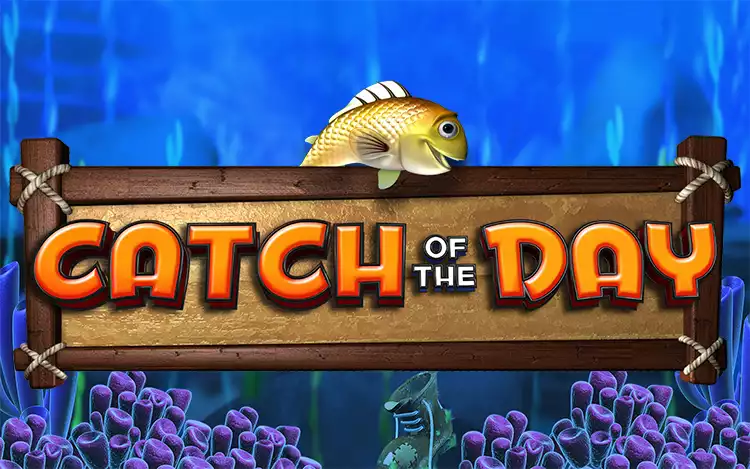 Catch Of The Day - Introduction