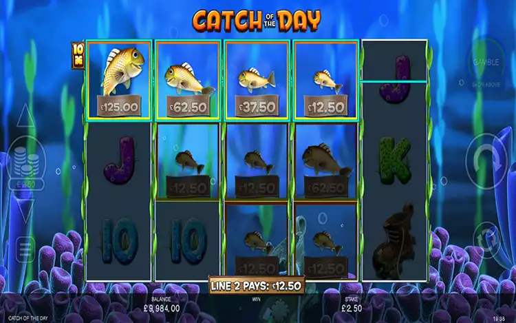 Catch Of The Day - Mixed Pays Feature