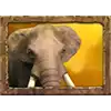 Jungle Spirit - Elephant Symbol