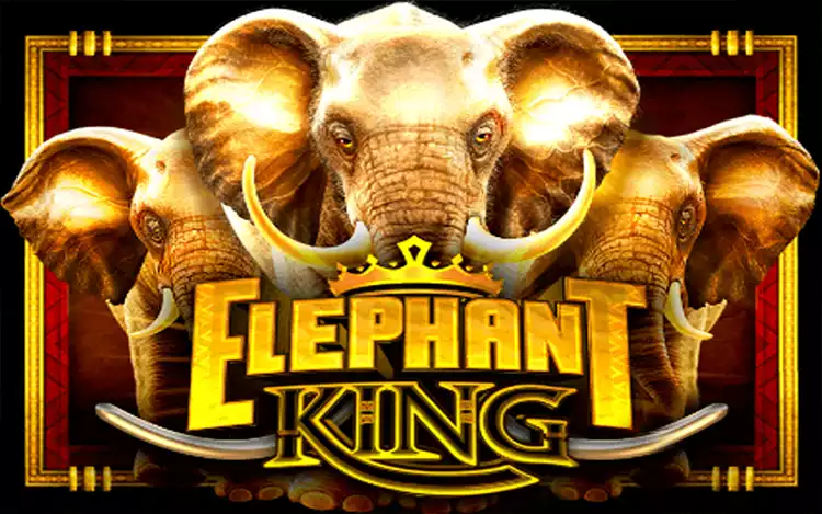 Elephant King - Introduction