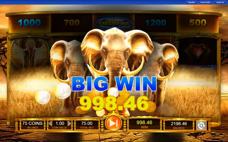 Elephant King - Step Win