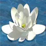 Enchanted Prince - Flower Symbol