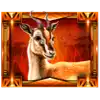 Elephant King - Gazelle Symbol