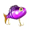 Golden Catch - Purple Fish Symbol