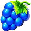 Fruit Party - Grapes Symbol