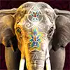 Indian Ruby Slot - Elephant Symbol