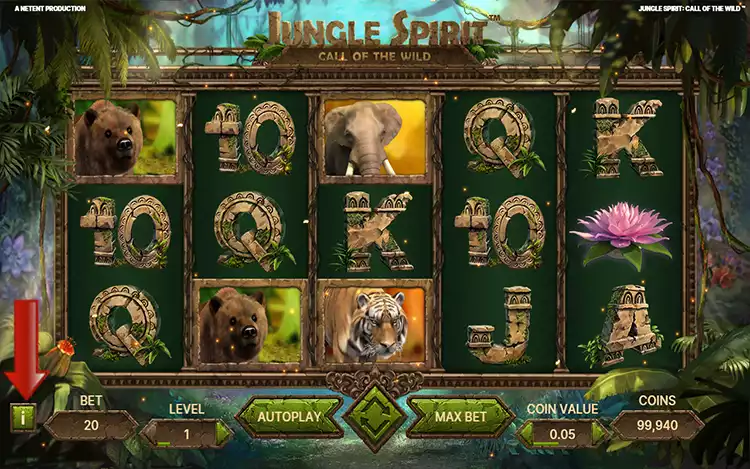 Jungle Spirit - Step Menu
