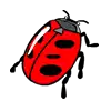 Secret Garden slot - Ladybug Symbol