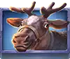 Crystal Queen slot - Moose Symbol