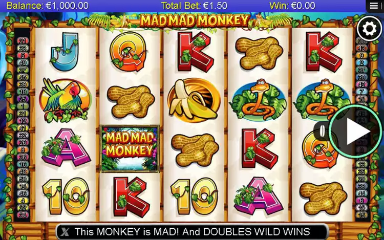 Mad Mad Monkey - Game Controls