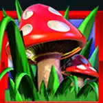 Magic-Toadstool-Red.jpg