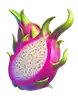 Joker Troupe slot - Dragon Fruit Symbol