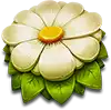 Wild Swarm - White Flower Symbol