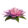 Jungle Spirit -  Orchid Scatter Symbol