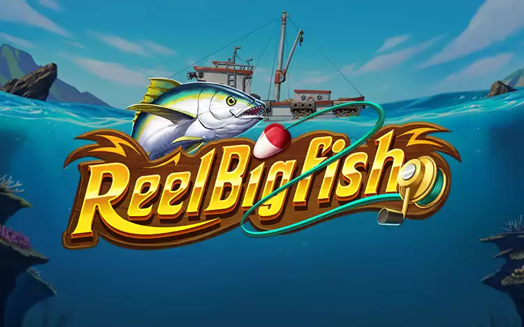 Reel Big Fish Introduction