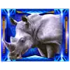 Elephant King - Rhino Symbol