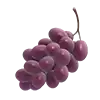 Fruit Warp - Grapes Symbol