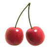 Fruit Warp - Cherry Symbol