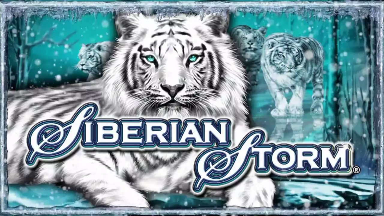 Siberian Storm - Temp Banner