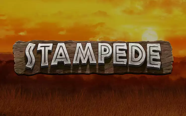 Stampede slot - Introduction