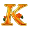 StarlightKiss - K Symbol