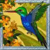 Amazon Wild Slot - Hummingbird Symbol