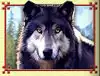 Wolf Run - Black Wolf Symbol