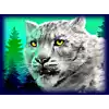 Icy Wilds slot - Snow Leopard Symbol