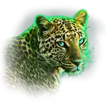 Epic Ape - Leopard Symbol